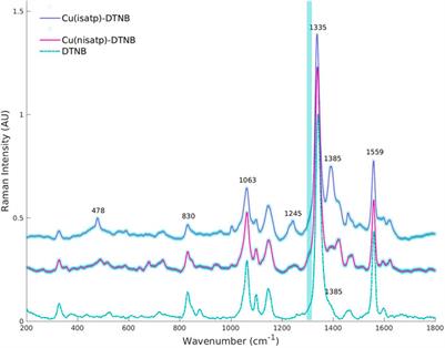 Dual-purpose nanoparticle assembly for identifying preferential intracellular targets of oxindolimine copper(II) complexes through SERS imaging